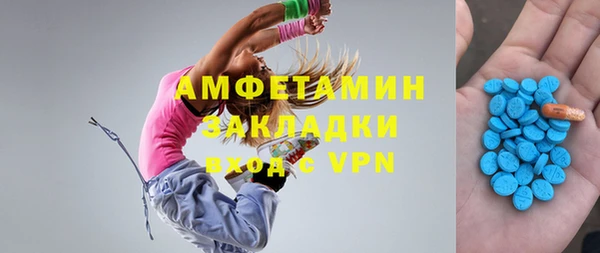 сатива Коряжма