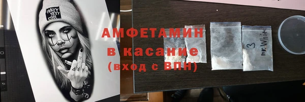 стафф Алзамай