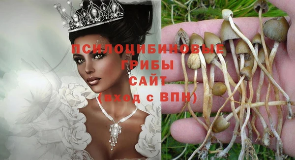 не бодяженный Абдулино