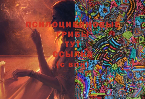 индика Абинск
